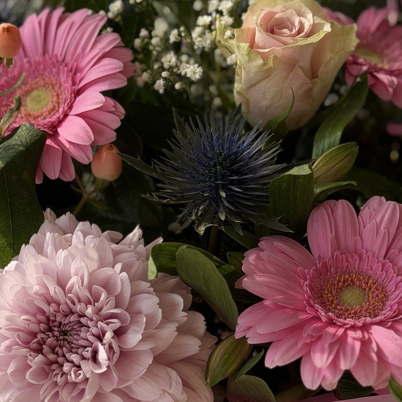 Frische Blumen aus der Nähe